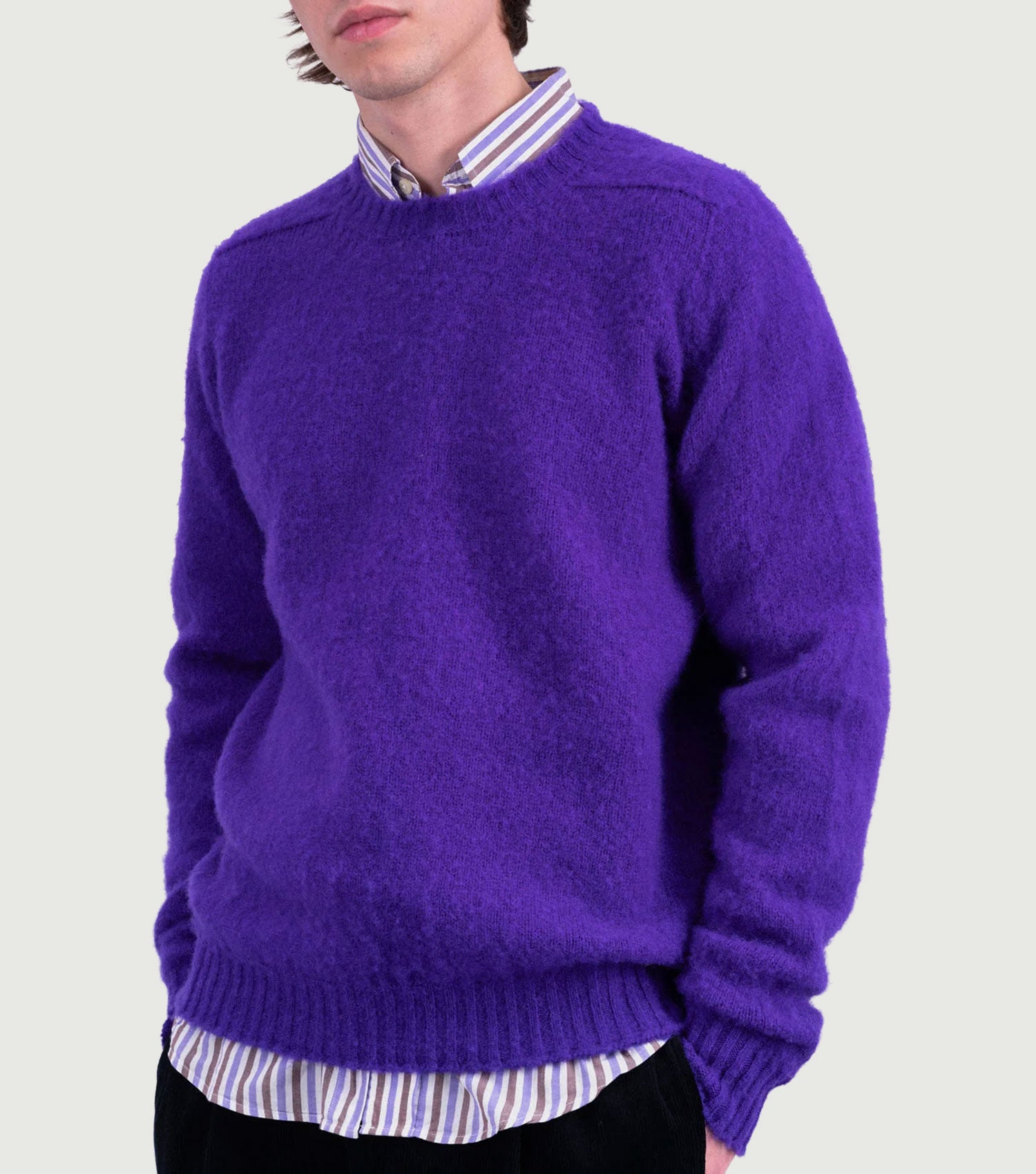 Shaggy Bear - Mystic Violet - Howlin'