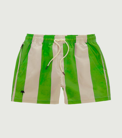 Emerald Stripe Swim Shorts Green - OAS Company