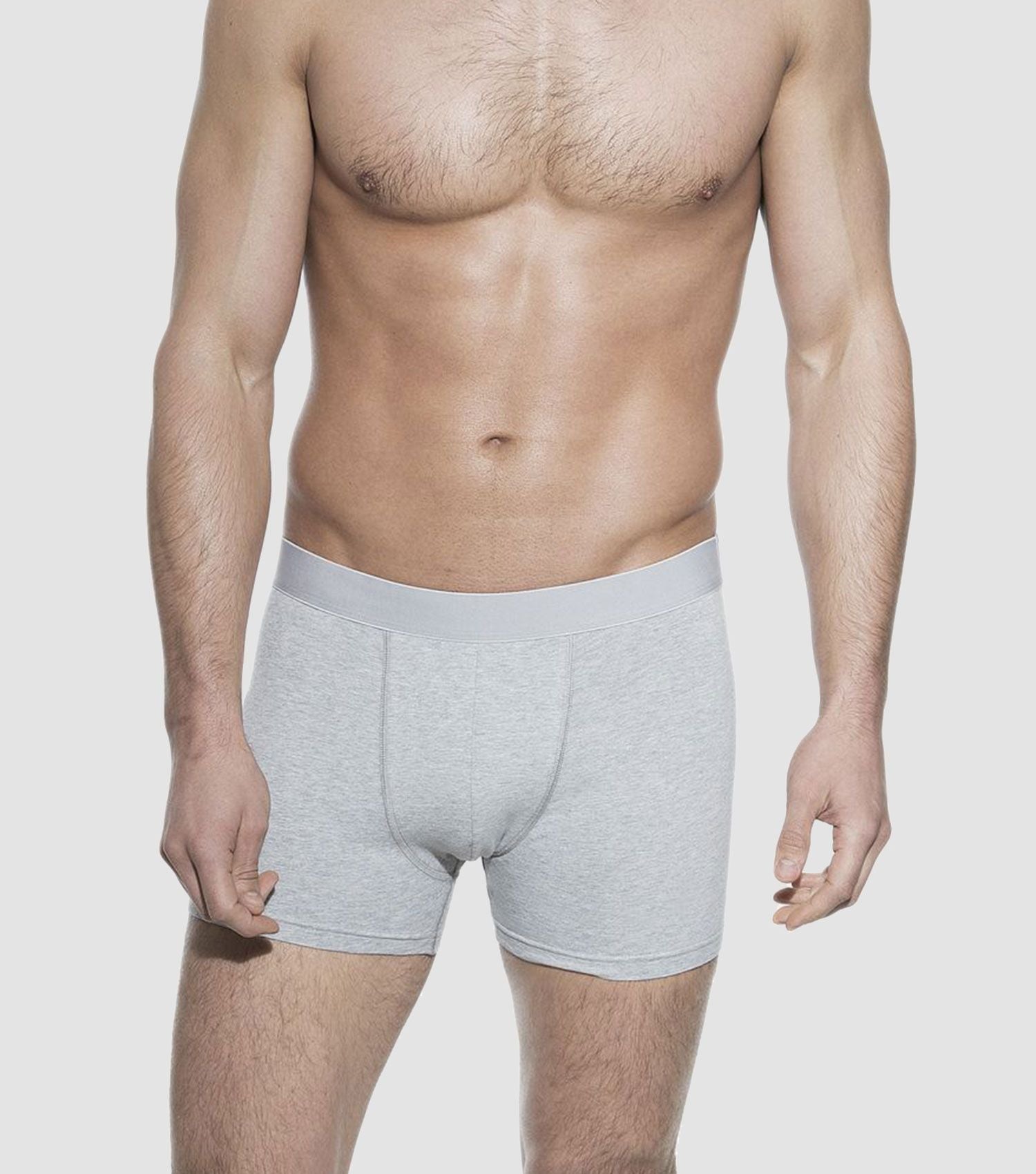 3 Organic Cotton Boxer Briefs Grey - Bread & Boxers